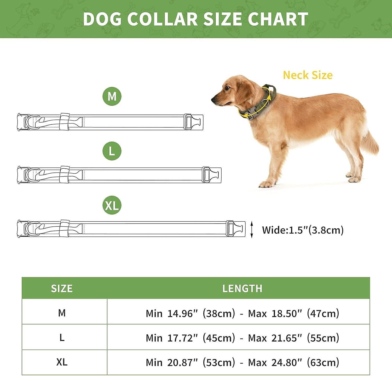 Dog collar size chart with a dog model and measurement details.
