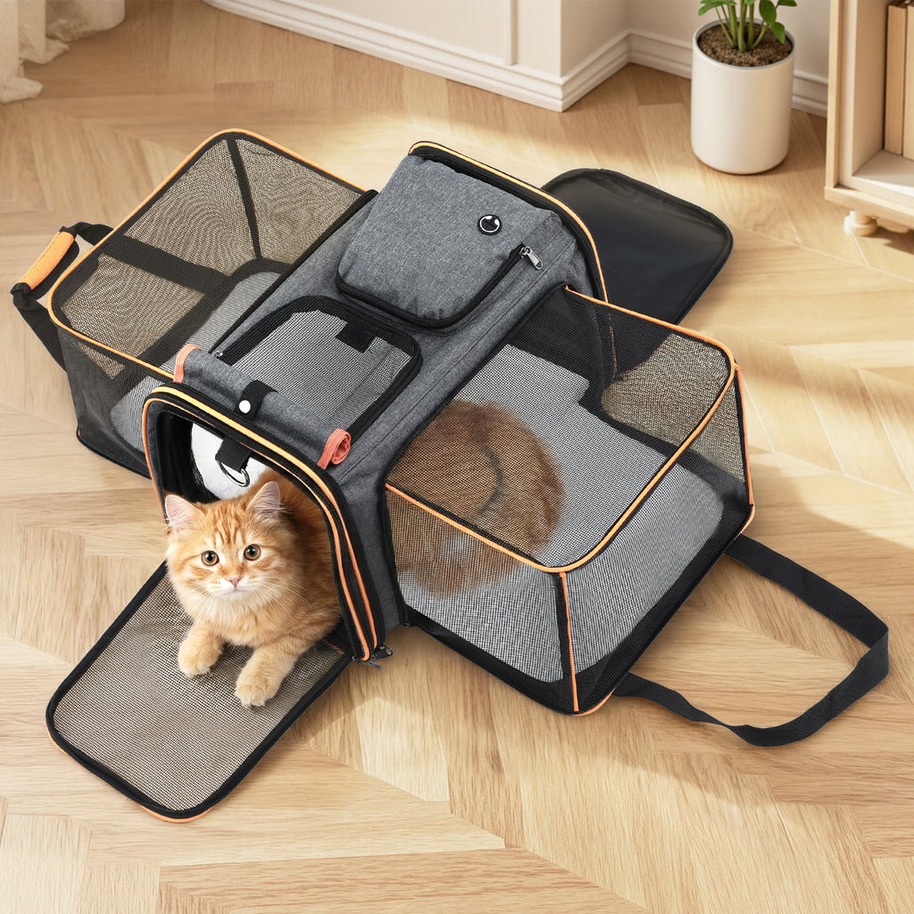 Pet carrier with a cat inside on a wooden floor