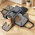 Pet carrier with a cat inside on a wooden floor