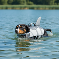Dog wearing a shark-shaped life jacket in a body of water with a natural background