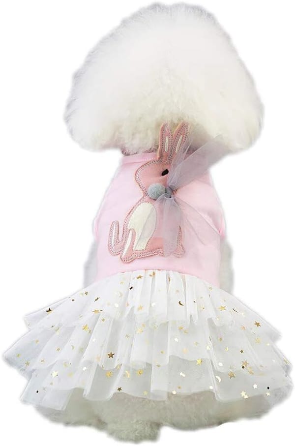 Pet dog in a pink outfit with a white fluffy hood and a white skirt with gold stars on a white background.