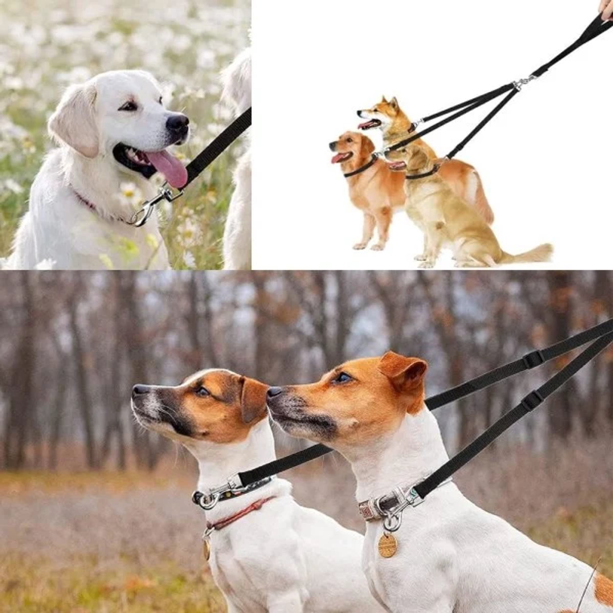 Collage of dogs on leashes in different outdoor settings