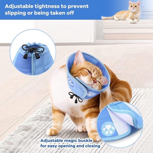 Cat wearing a blue cone-shaped e-collar with text about adjustable tightness and magic buckle.