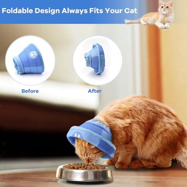 Cat wearing a blue pet hood while eating from a bowl, with text indicating foldable design.
