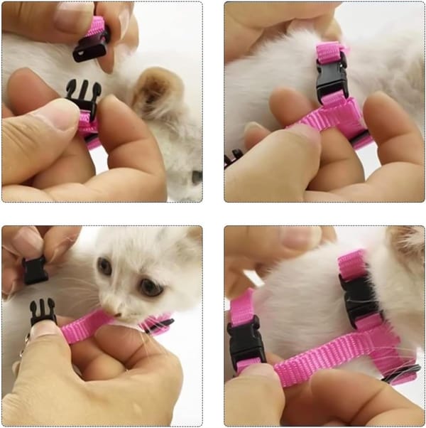 Collage of a pink pet harness being fitted on a small white cat.