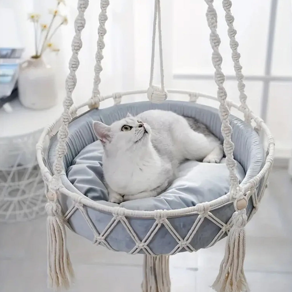 White cat lounging in a macrame hammock chair with tassels.
