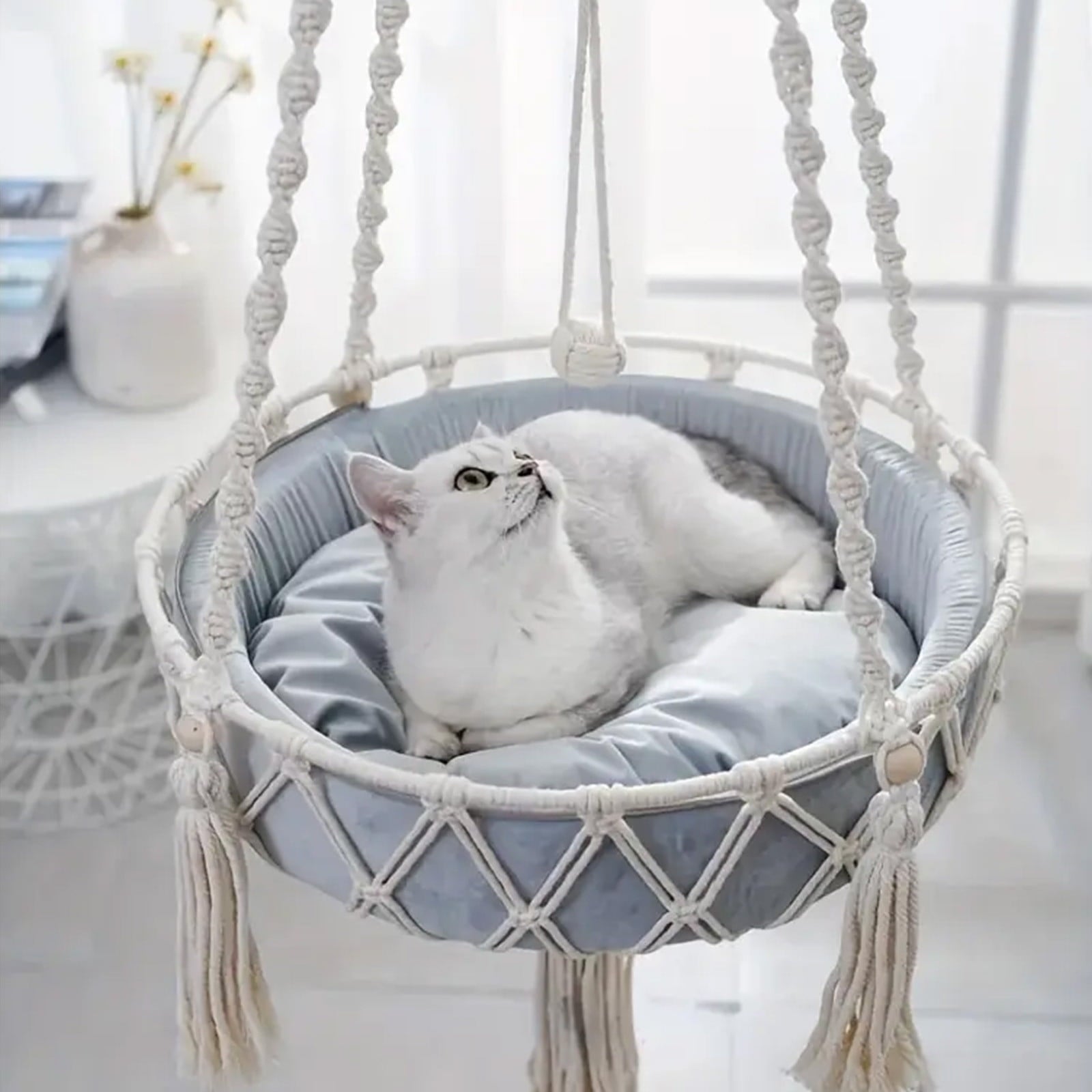 White cat lounging in a macrame hammock chair with tassels.