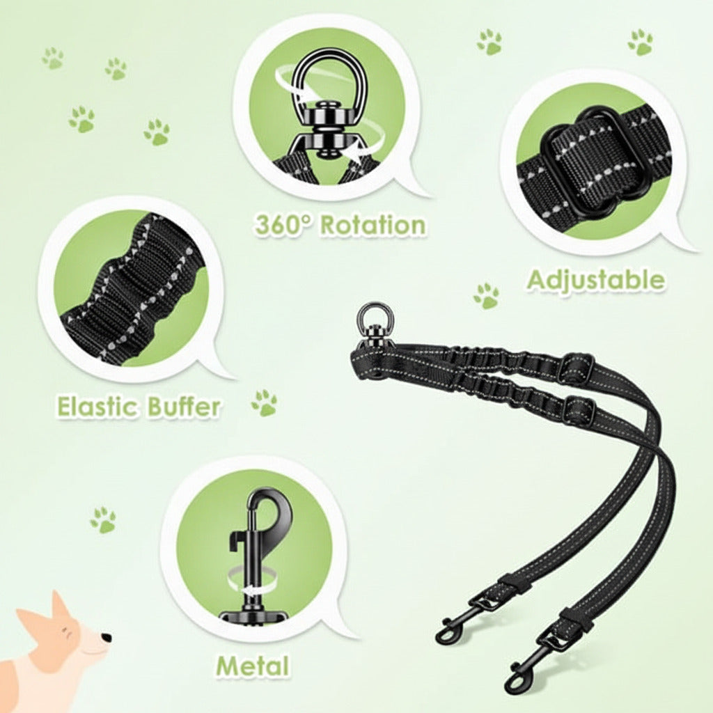 Dog leash with features highlighted on a light blue background