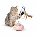 Cat playing with a pink toy featuring a feather on a white background