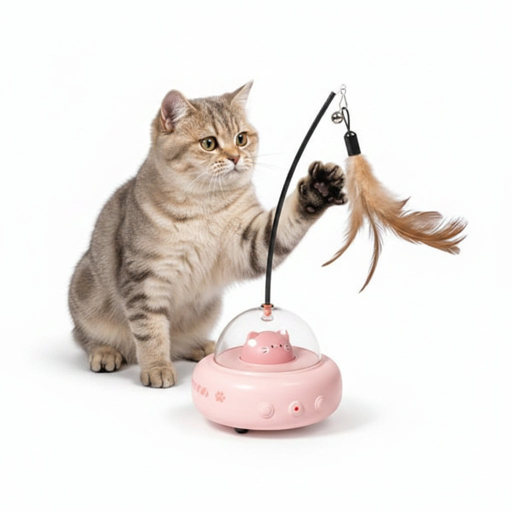 Cat playing with a pink toy featuring a feather on a white background