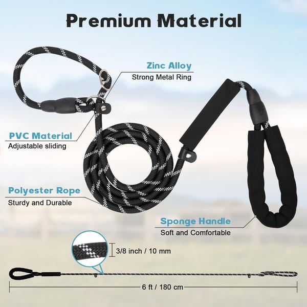 Dog leash with labeled features on a gradient background