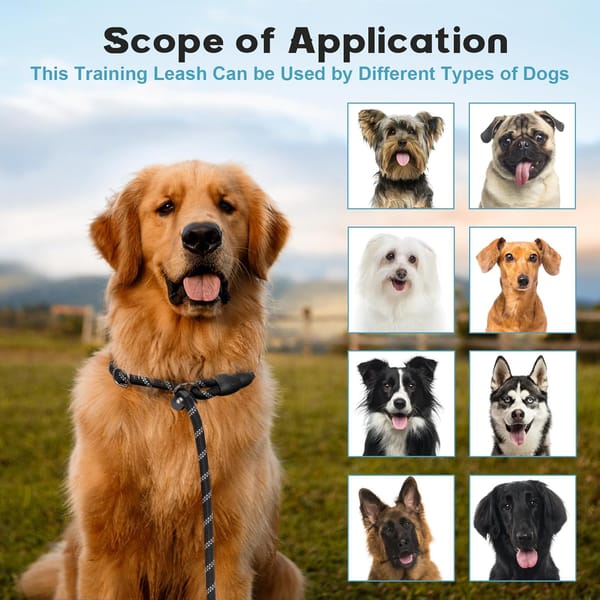 Dog on a leash with images of various dog breeds in the background