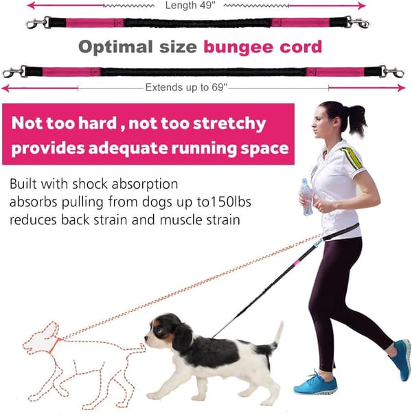 Woman walking a dog with a leash, highlighting the bungee cord's features.