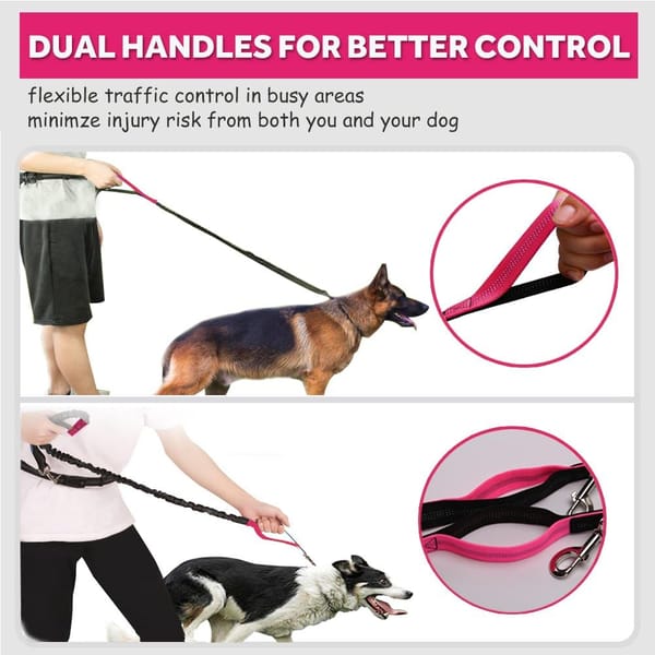 Dog leash with dual handles for better control, featuring a person walking two dogs.