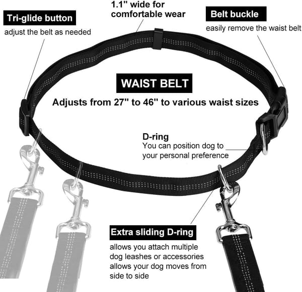 Dog waist belt with features labeled on a white background