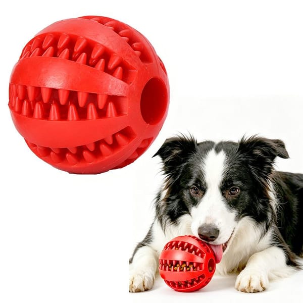 TreatNChew 2-Pack Large Dental Treat Dispenser Balls (7cm)