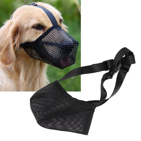 Black dog muzzle on a white background with a dog wearing it in the corner.