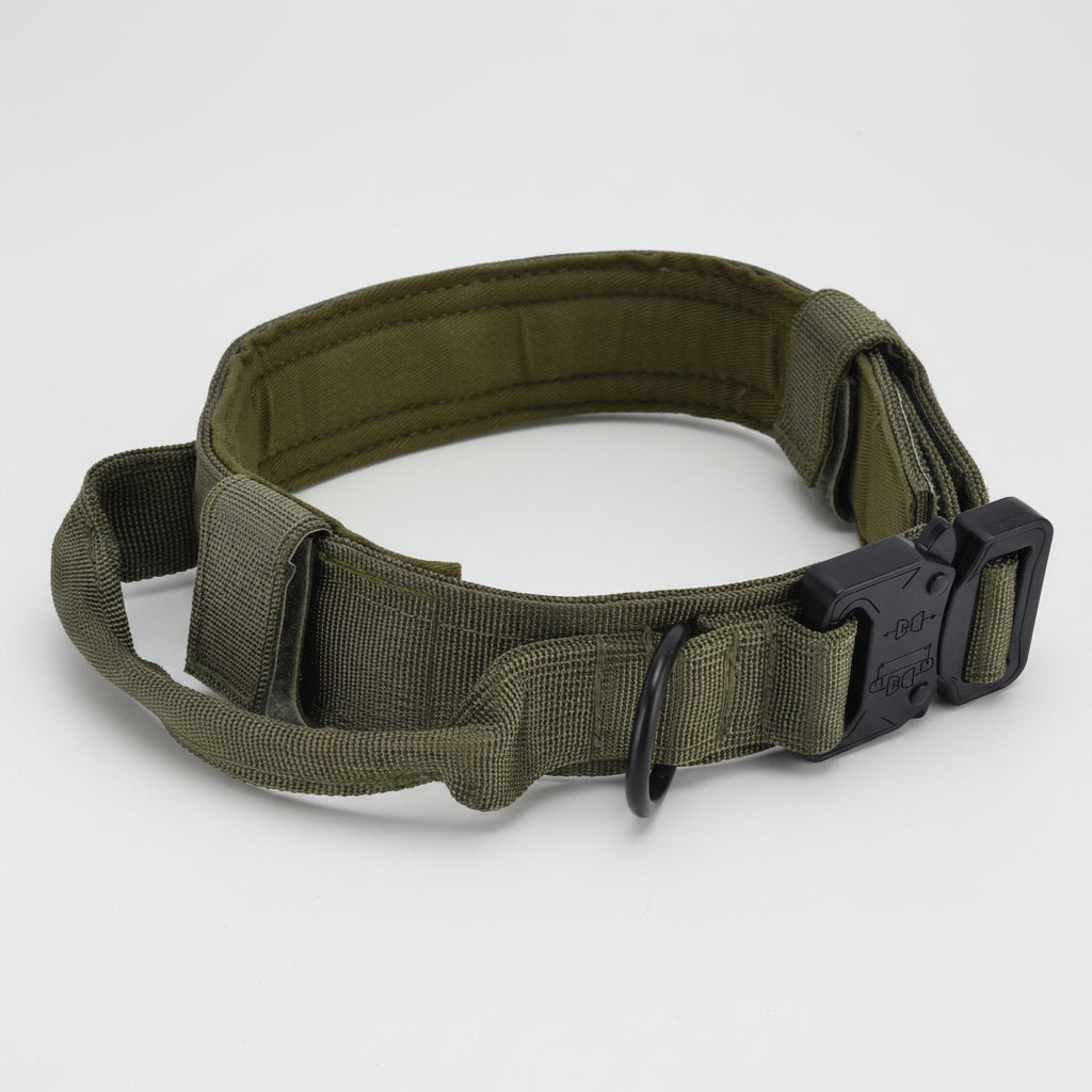 Traction Dog Collar with Buckle Nylon Iron Training Hunting Collar Pet Accessory for OutdoorGreen M