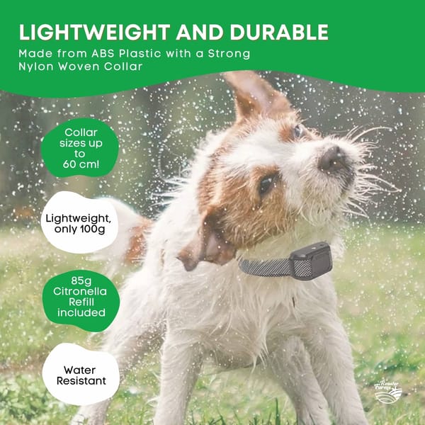 Dog wearing a collar with product features highlighted on a green background