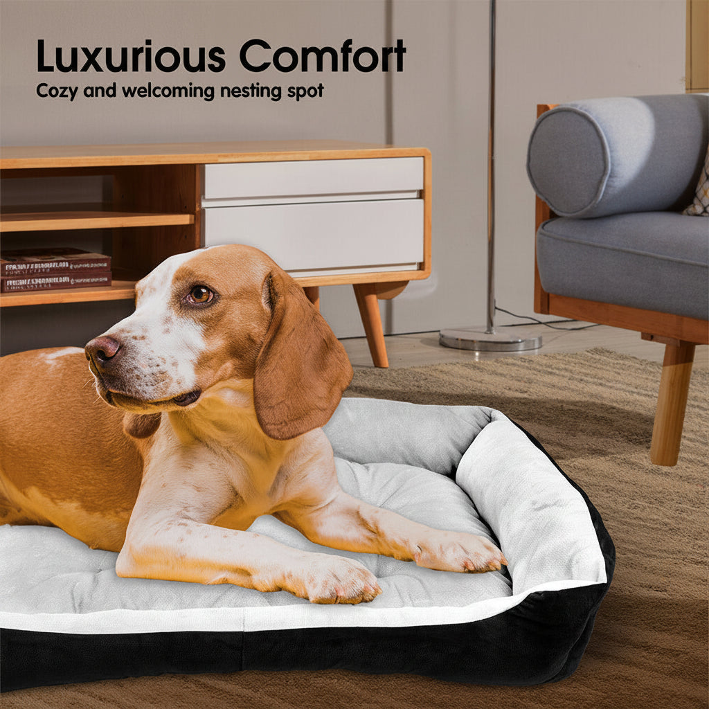 Dog lying on a pet bed with 'Luxurious Comfort' text in a cozy living room.