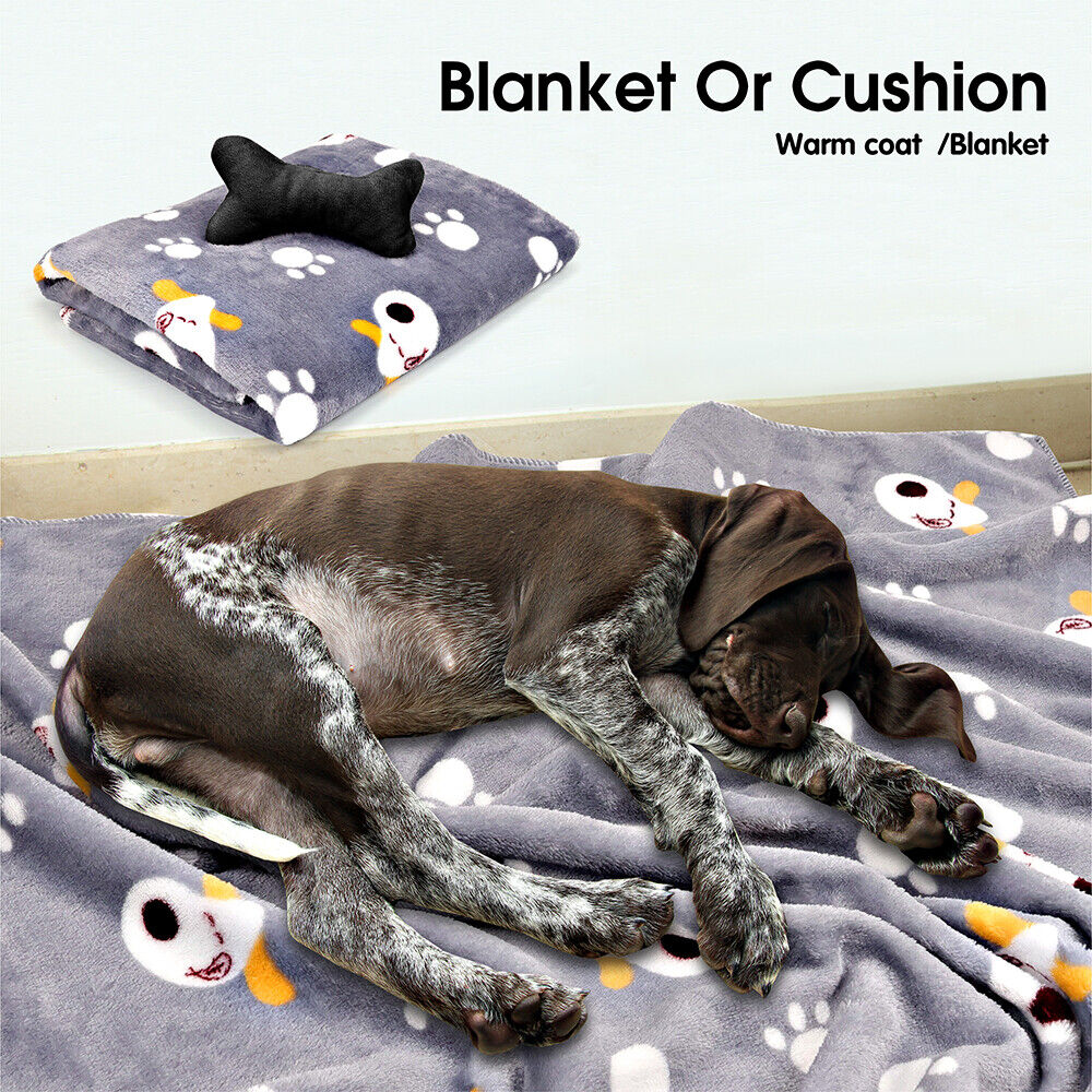 Dog lying on a blanket with cartoon designs, text 'Blanket Or Cushion' and 'Warm coat/Blanket'.