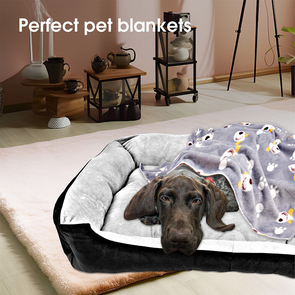 Dog lying on a large pet bed with a blanket featuring cartoon characters, in a room setting.