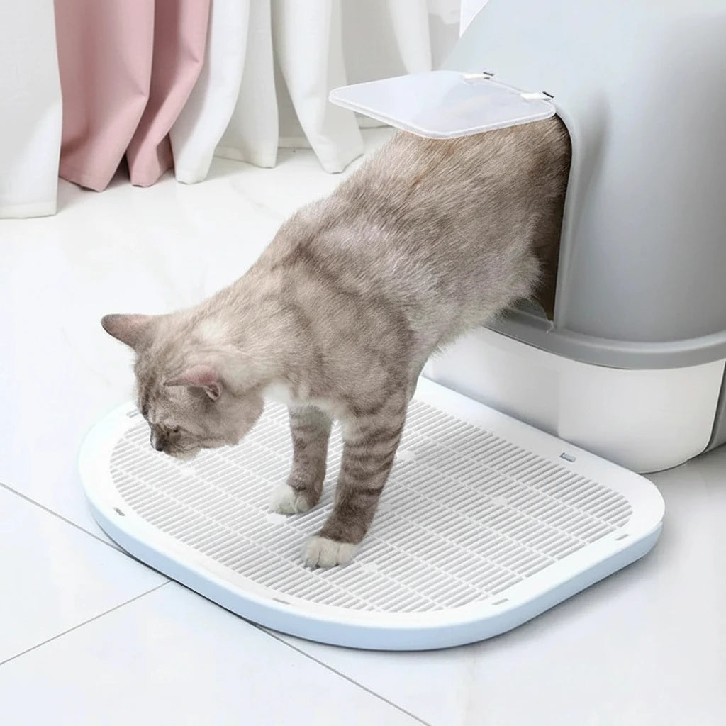 Cat using a litter box on a white floor