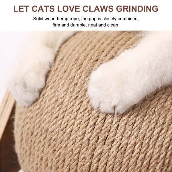 Cat paws on a rope scratcher with text about solid wood hemp rope.