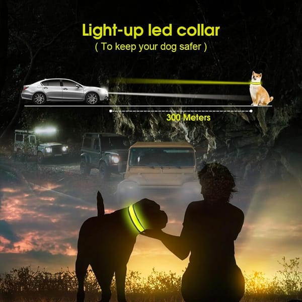 GlowGuard LED Safety Collar for Dogs & Cats