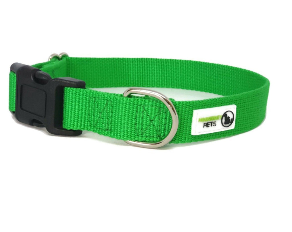 Eco-Friendly Pure Bamboo Fibre Dog Collar