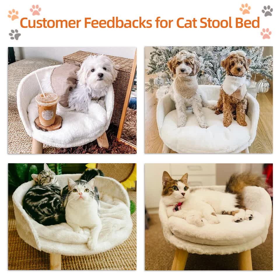 Elevated Pet Sofa Bed with Plush Cushion