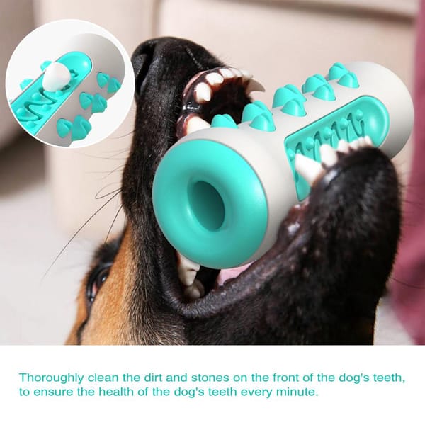 Dog using a teal and white toothbrush toy with text about dental care.