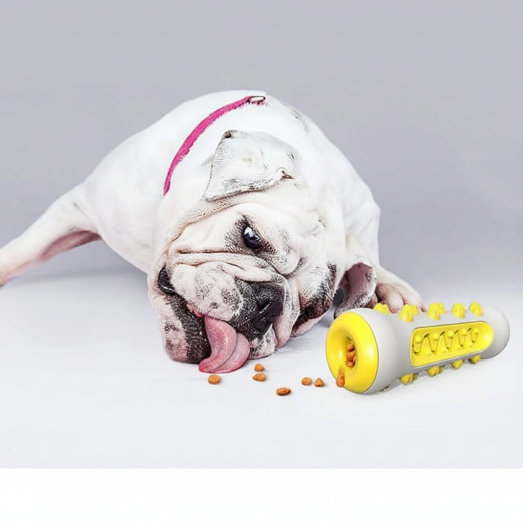 Dog playing with a yellow and white toy on a gray background