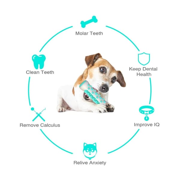 Dog holding a dental chew toy with health benefits illustrated around it on a white background