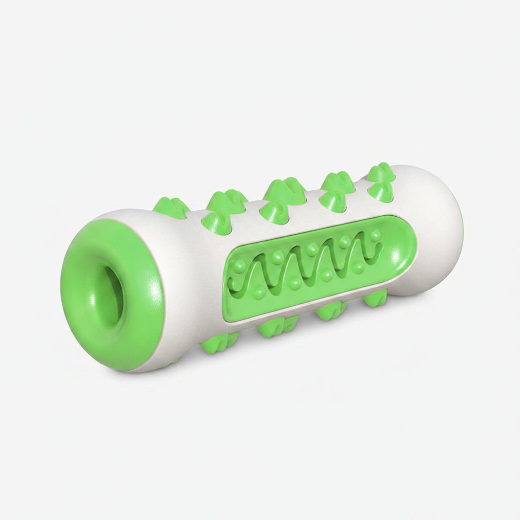 Dog with a green and white chew toy on a white background