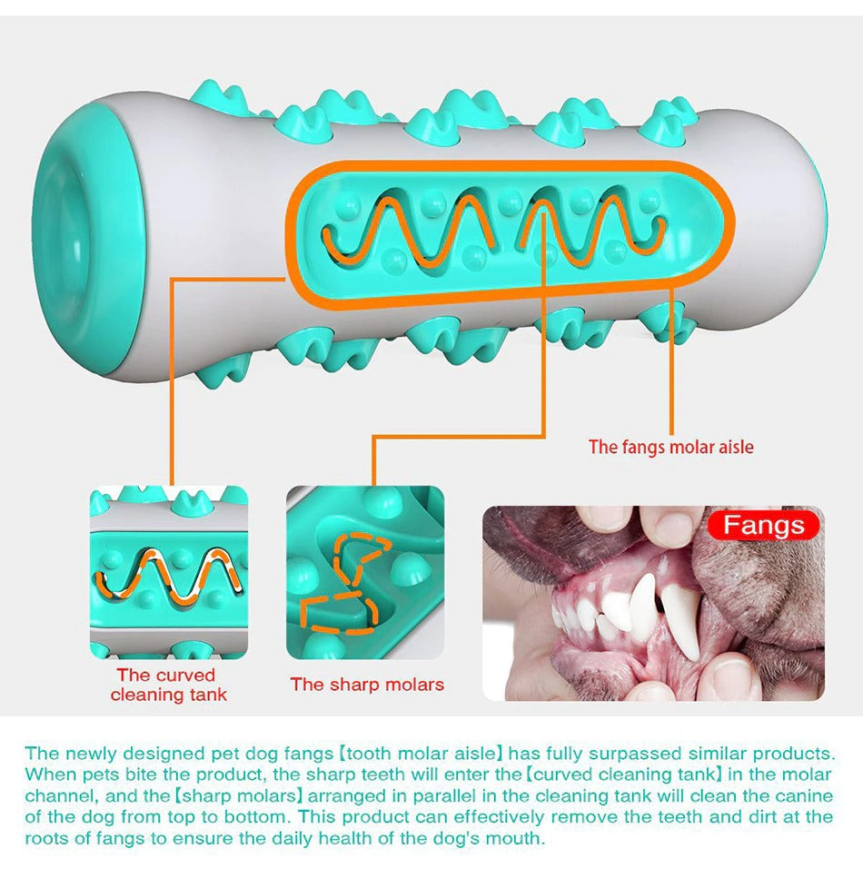 Teal and white pet toy with diagram showing cleaning mechanism, labeled 'The fangs molar aisle' and 'The sharp molars'.