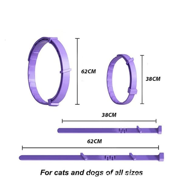 Purple pet harness with measurements on a white background