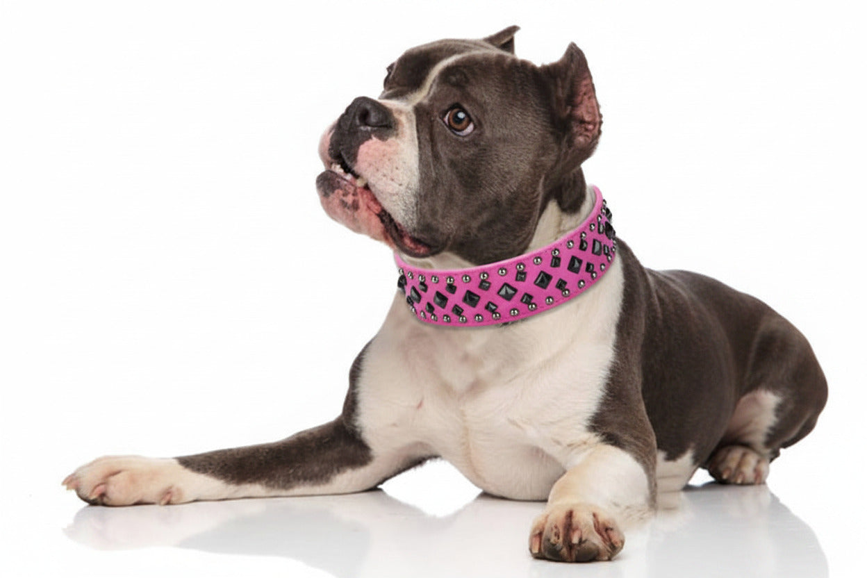 SpikeGlam Adjustable PU Leather Dog Collar