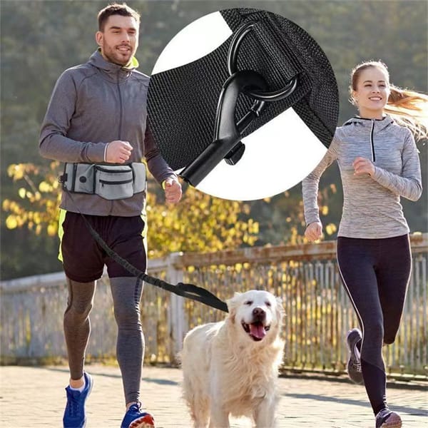 Two people running with a dog, one person using a waist bag, and a close-up of a black waist bag.