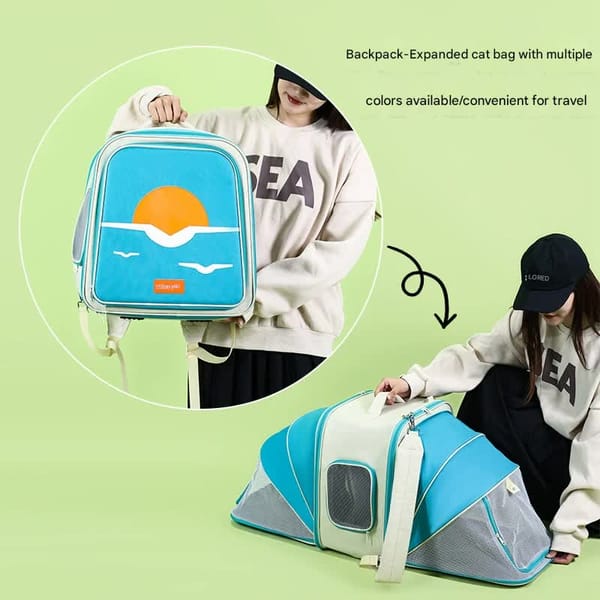 Backpack-expanded cat bag with a blue and white design, held by a person on a green background.