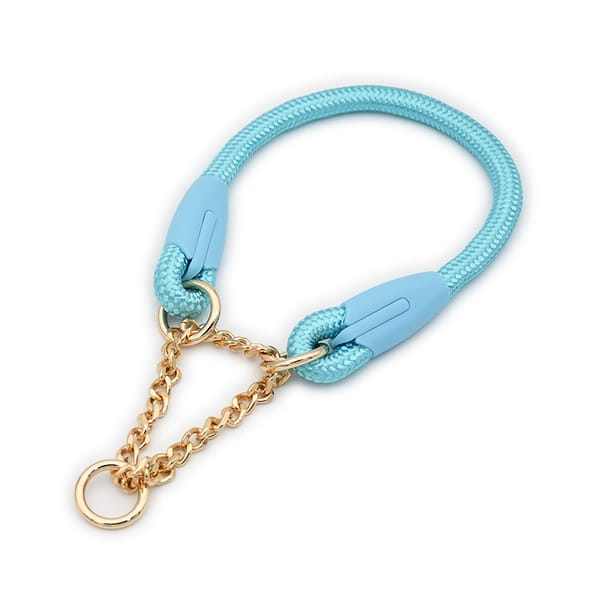 Light blue dog leash with gold chain on a white background