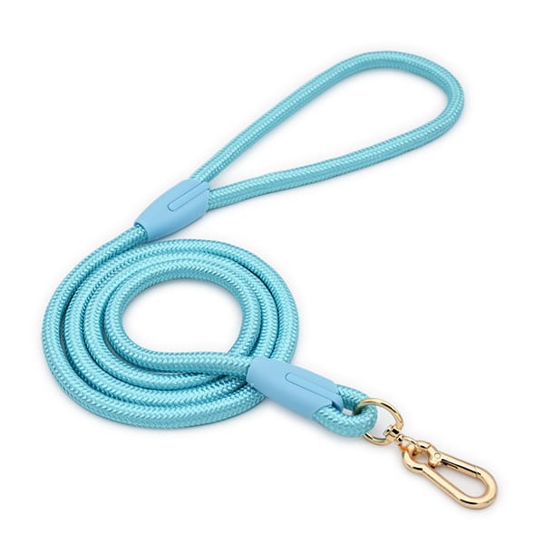 Light blue dog leash with a gold clasp on a white background