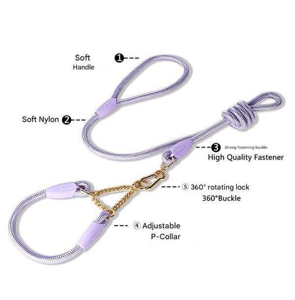 Purple dog leash with gold hardware labeled for features on a white background
