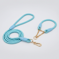 Light blue dog leash with gold clasp on a light gray background