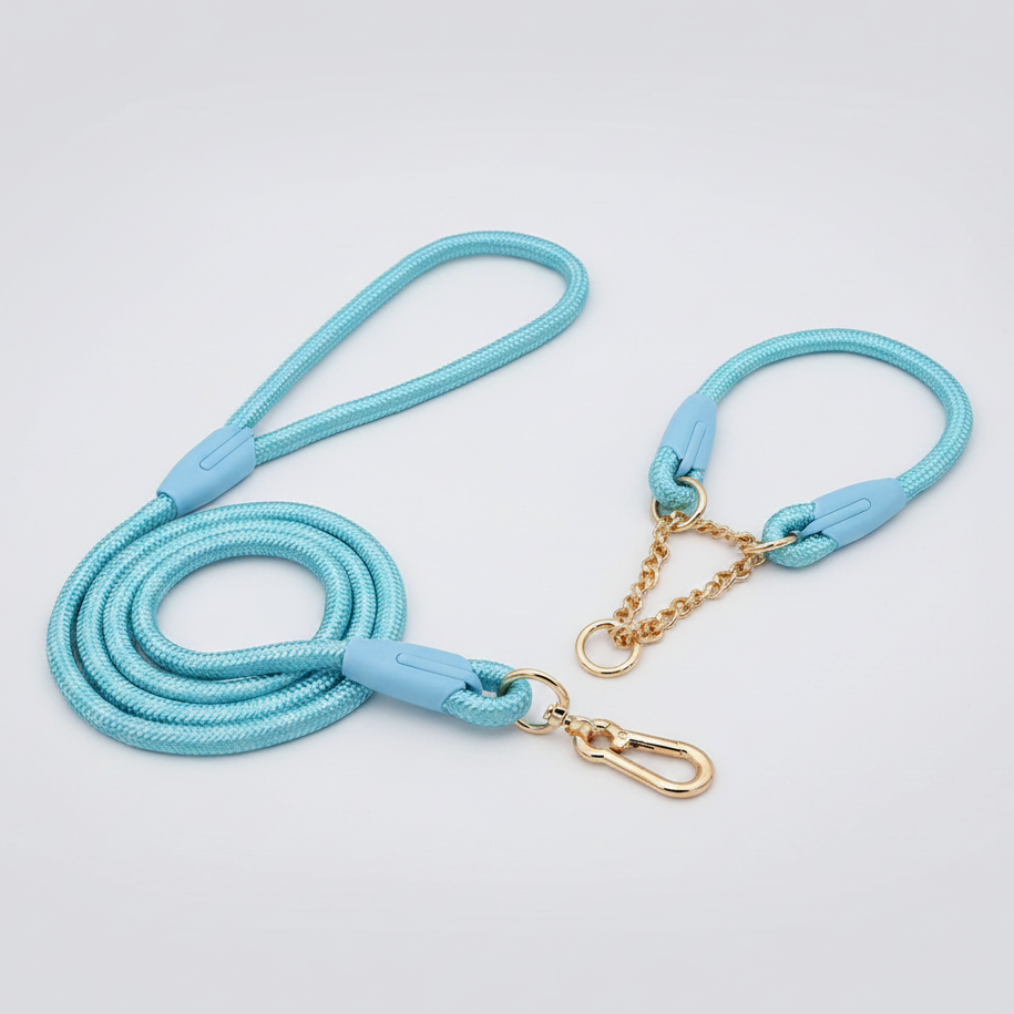 Light blue dog leash with gold clasp on a light gray background