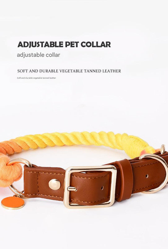 Brown pet collar with adjustable strap on a white background
