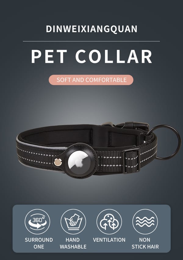 Black pet collar with a silver tag on a dark background, featuring the brand 'DINWEIXIANGQUAN'.