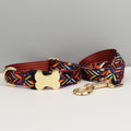 XL Rainbow Boho Patterned Dog Collar with Gold Metal Bone Buckle Adjustable Tribal & Leopard Print Neck Strap for Puppies & Dogs