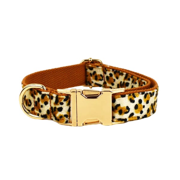 Leopard print dog collar with gold buckle on a white background