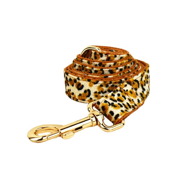 Leopard print dog leash with gold clip on a white background